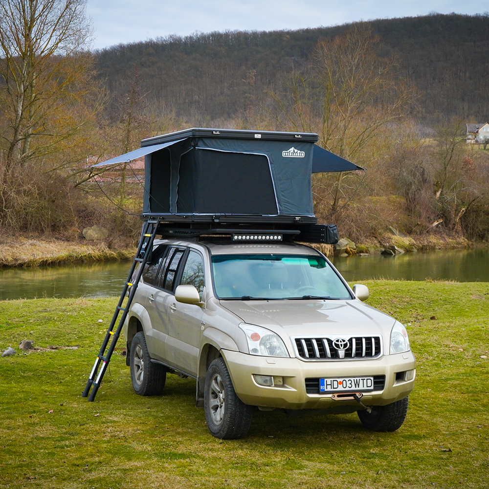 Traveller 7
