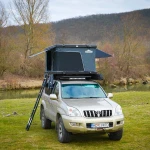 Traveller 21