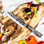 SANTOKU-BRUTE-18-CM3