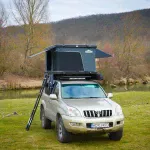 Traveller 21