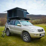 Traveller 3