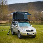Traveller 7