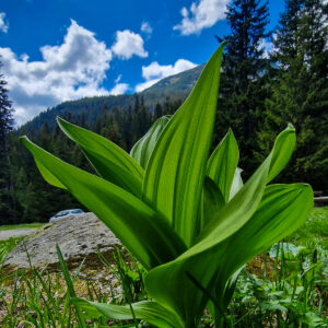 WhatsApp Image 2025-05-10 at 22.22.14_fe8a612d