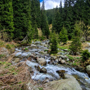 WhatsApp Image 2025-05-10 at 22.22.15_a6019405