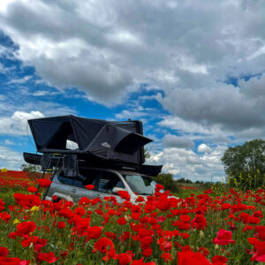 WhatsApp Image 2025-05-30 at 13.35.58_ebe216ee