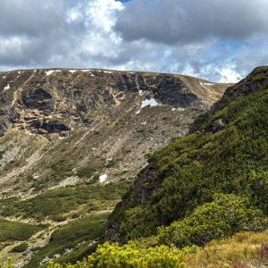 WhatsApp Image 2025-06-01 at 15.24.50_1d82d891