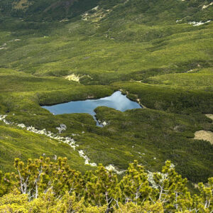 WhatsApp Image 2025-06-01 at 15.24.53_b7808e12