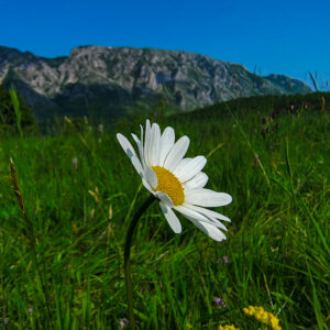 WhatsApp Image 2025-06-07 at 16.40.18_b59715b3