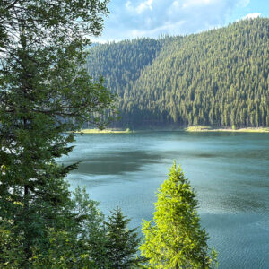 WhatsApp Image 2025-06-08 at 18.31.22_d3327d46