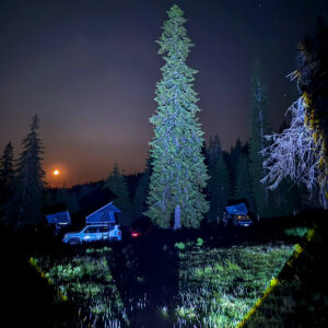 WhatsApp Image 2025-06-14 at 09.04.35_7d956467