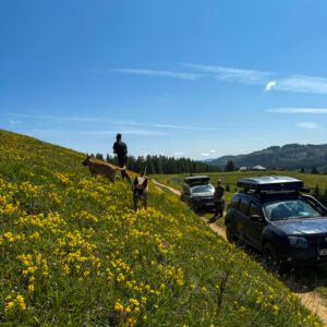 WhatsApp Image 2025-06-15 at 15.18.31_d0d14806