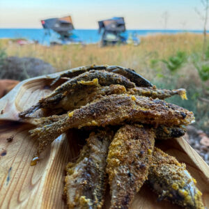 WhatsApp Image 2025-06-23 at 13.26.09_51011f7d