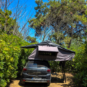 WhatsApp Image 2025-06-23 at 14.20.30_cd822c63