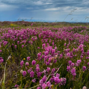 WhatsApp Image 2025-06-27 at 21.20.02_b118096c