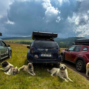 WhatsApp Image 2025-06-28 at 11.32.51_c8c94d36