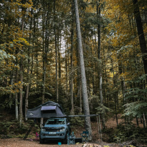 WhatsApp Image 2025-06-28 at 17.52.35_adef1f87