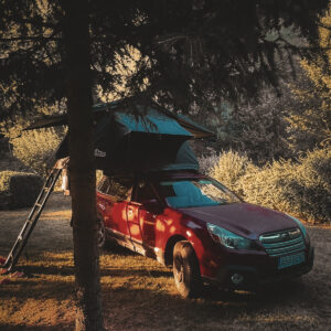 WhatsApp Image 2025-07-04 at 20.35.02_31a7b3da