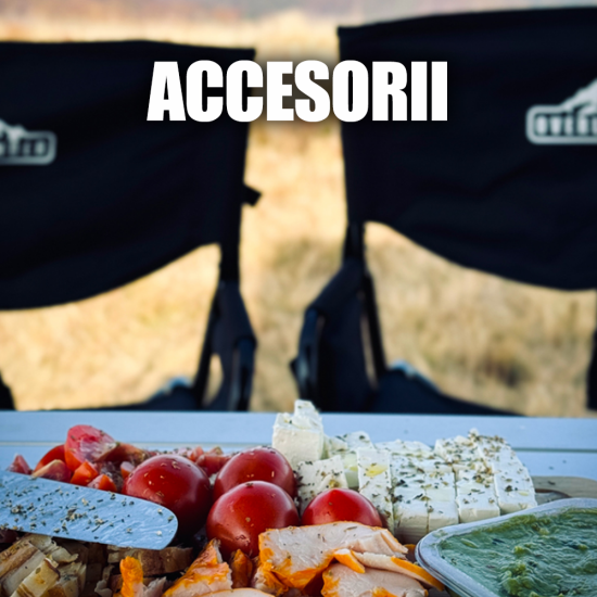 ACCESORII
