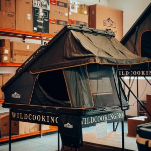 Dodo - 07