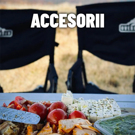 ACCESORII